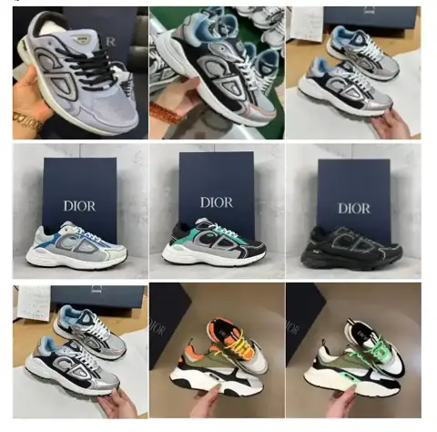 Dior B22